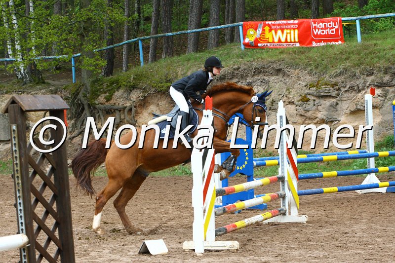 005L5157_Ricodero_Springreiter WB E.JPG